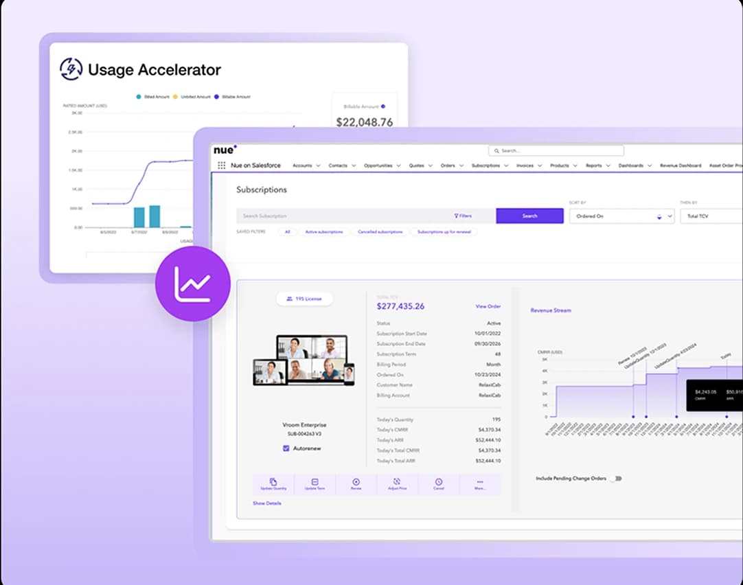 A subscription in Nue on Salesforce, with its revenue stream over time and usage from Usage Accelerator