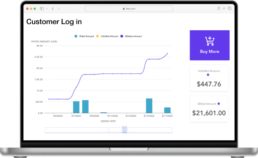 Give your customers visibility into their usage
